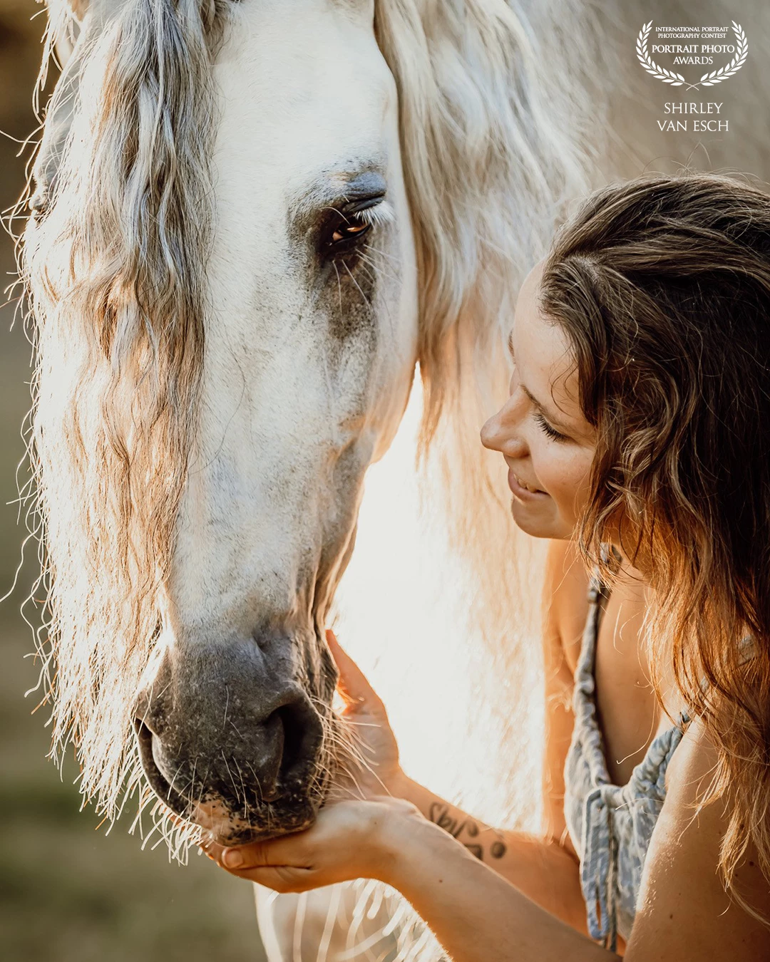 Beautiful LoΓ―s and Navaro. I am fond of intimate close ups and especially when the sun peeks behind. Love the light!
