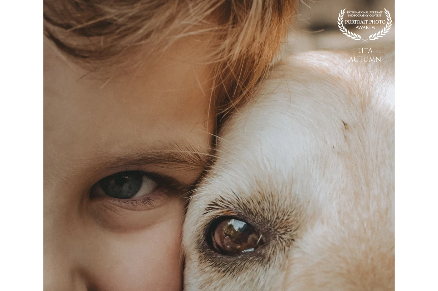 Nothing is more precious than the love between a kid and his dog. <br />
<br />
Golden Retrievers arenβt just pets; theyβre family. They greet you like youβve been gone for years (even if itβs just five minutes), they turn even the most ordinary moments into something special, and letβs be honestβno one gives better hugs. If youβre a Golden lover, you already get it.