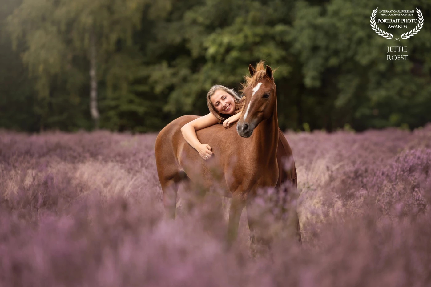 Judith with her Hackney horse Succes in the blooming heather. The bond between them is very nice to capture on film.