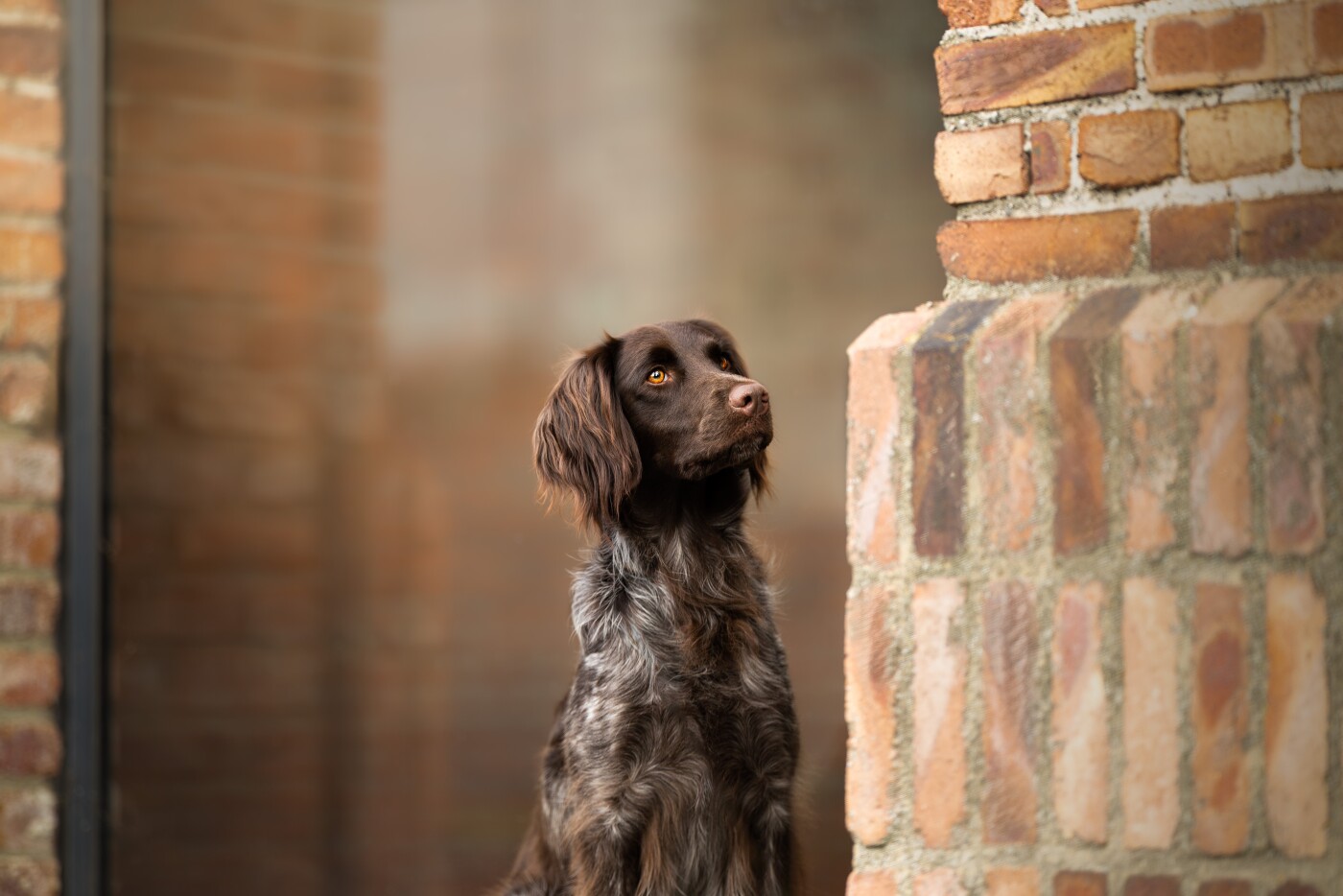 Vanya during her photoshoot in Genk.