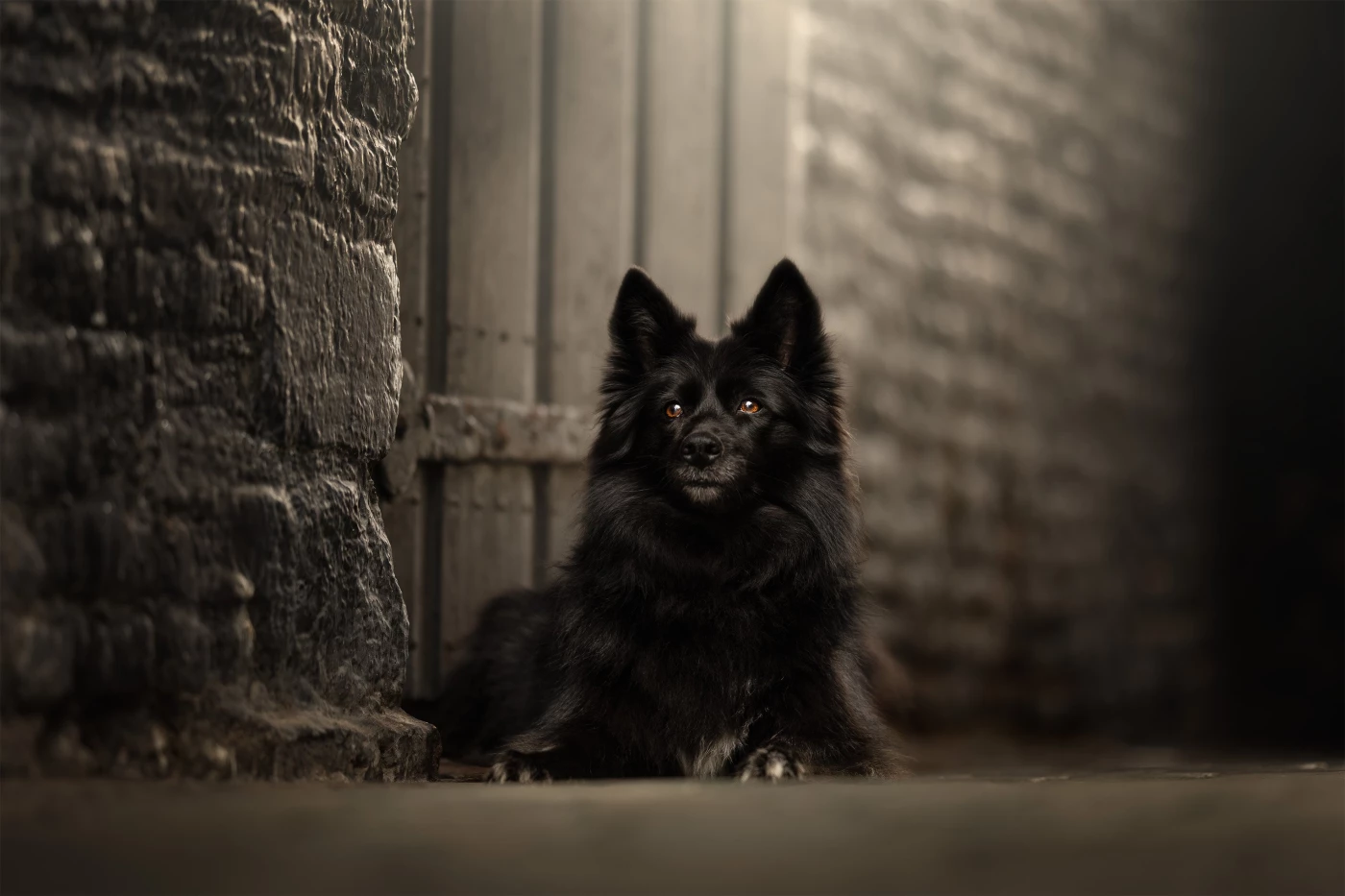 Lara sitting under the Vischpoort in Elburg, captured in a beautiful photo with the old wooden door...