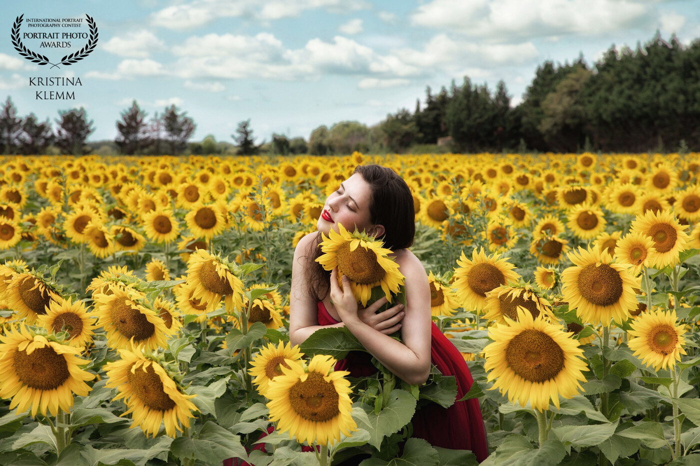 Sunflower field<br />
<br />
This photo was taken on a shooting trip through France. We have been looking for the perfect sunflower field for a long time until we finally found it.<br />
<br />
Model: olora_model