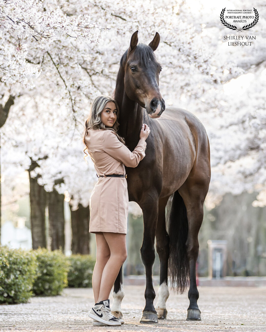 I love the Spring season with it's blossoming trees. This is Sterre with her gorgeous horse 'Let's Dance' , aren't they looking so pretty together?