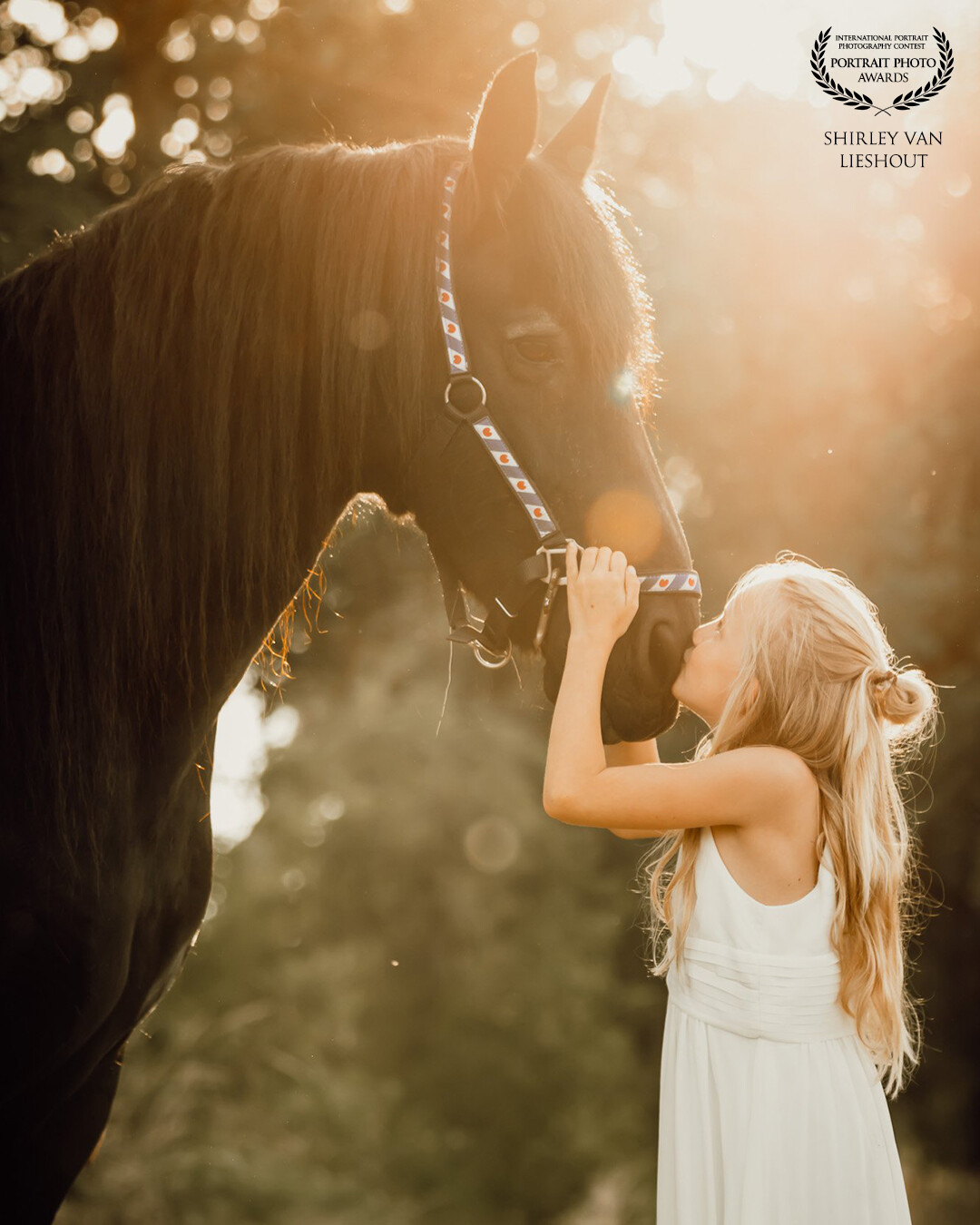 This lovely girl of 9 years old always wanted to make pictures with her absolute favorite horse breed: Friesians.  So her mother arranged this photoshoot with me and the neigbours of her inlaws happened to have a Friesian horse. This is one of the results, they look so pretty together!